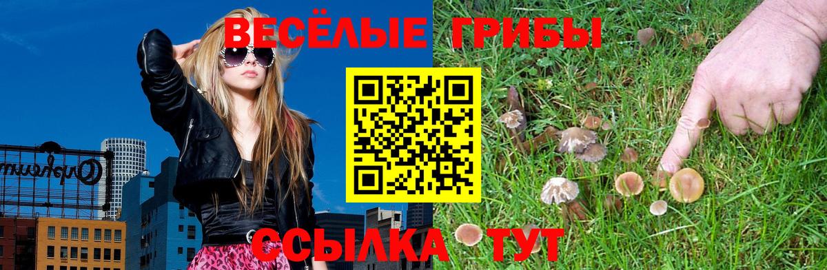 Псилоцибиновые грибы мухоморы  наркошоп  Усть-Лабинск  Вход с VPN  Галлюциногенные грибы GOLDEN TEACHER 