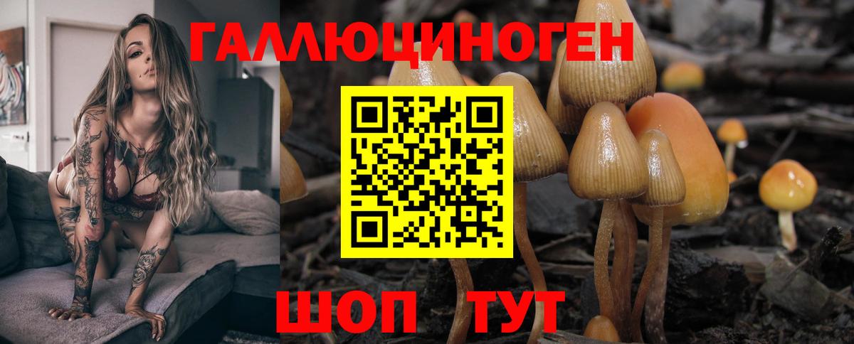 Псилоцибиновые грибы Magic Shrooms Усть-Лабинск
